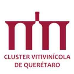 cluster-vitivinicola-l